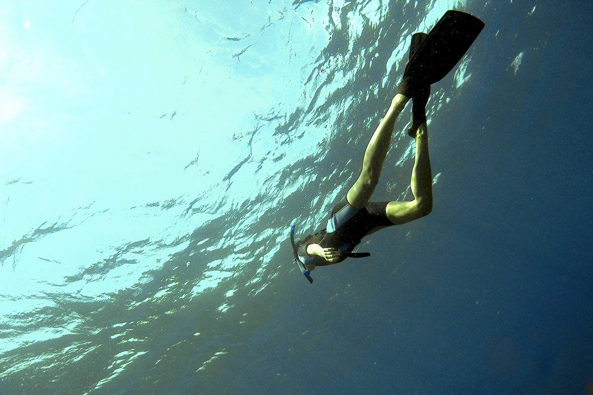 Indonoceans' guest is snorkelling at Pink beach, Komodo National park
